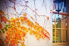 Autumn Outside Royalty Free Stock Photos Autumn Outside Royalty Free Stock Photos