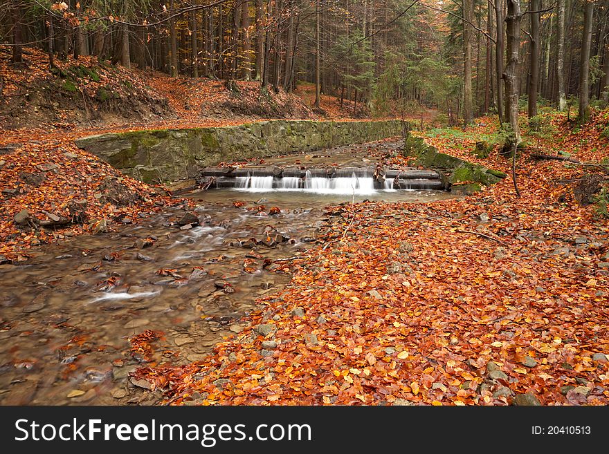 Stream In The Autumn Woods