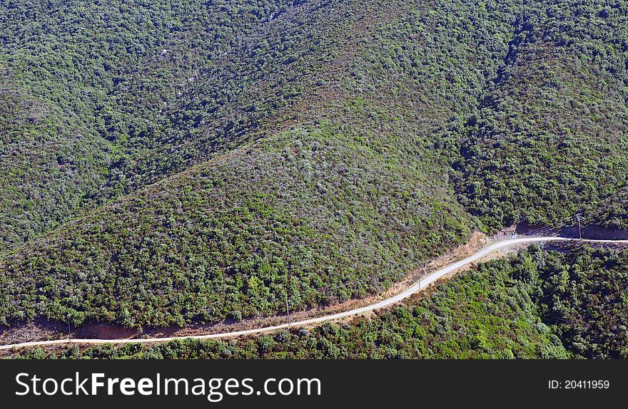 Curved forest road