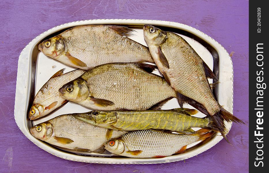 Fresh Fishes In The Tray After Fishing