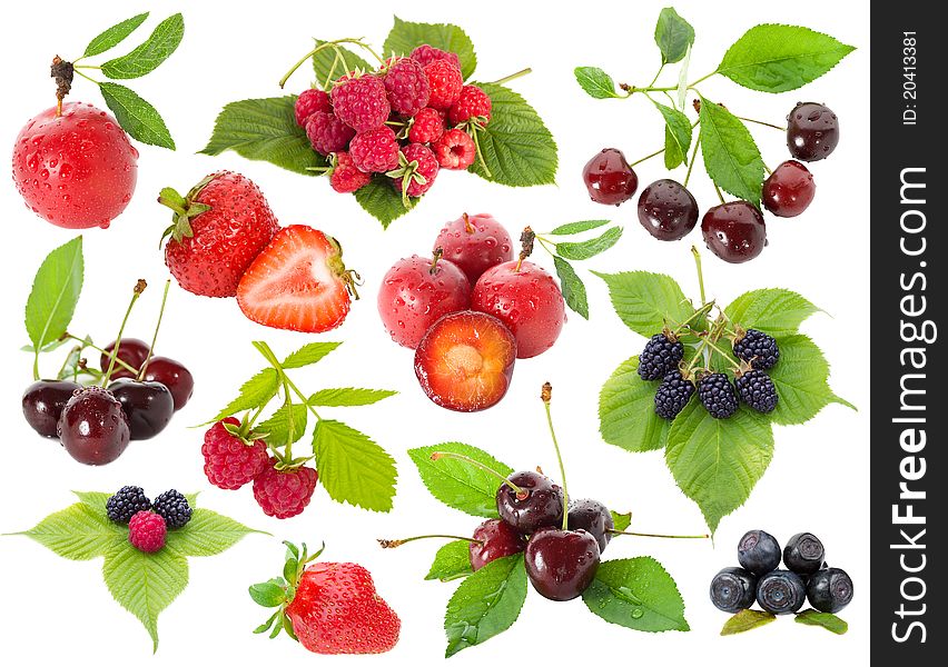 Collection of berries