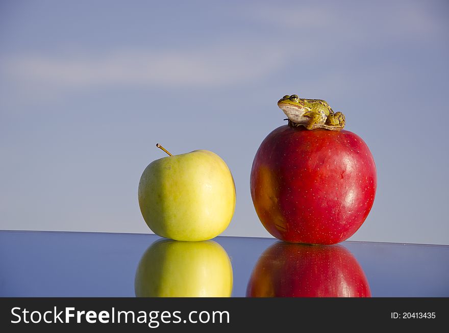 Two apples on mirror and green frog on sky background