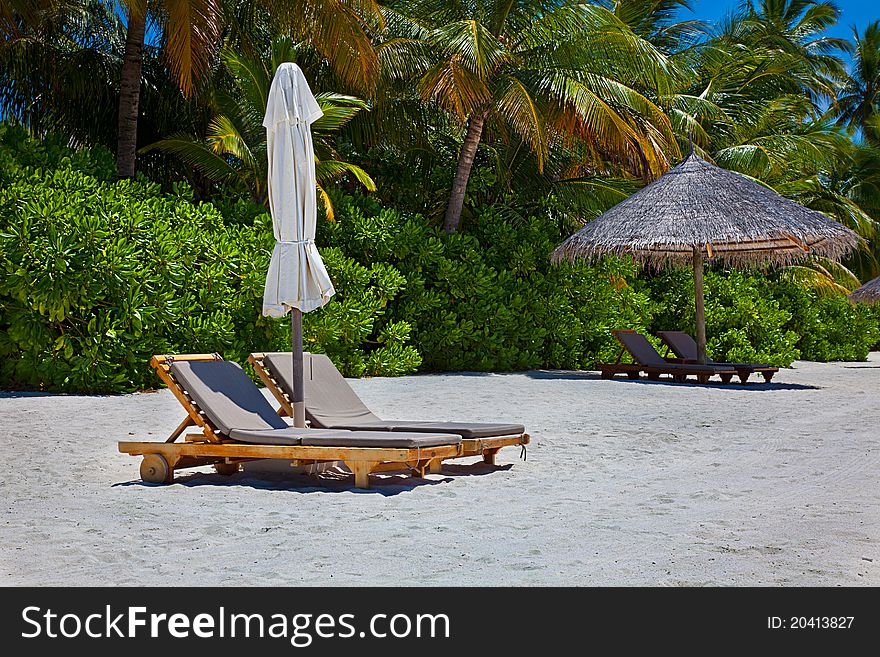 Lounge beach chair on the sand with the foliage and palm trees in the background
