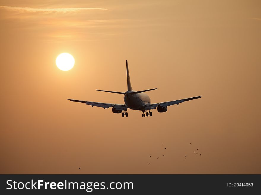 Aircraft with shining sun and birds. Aircraft with shining sun and birds