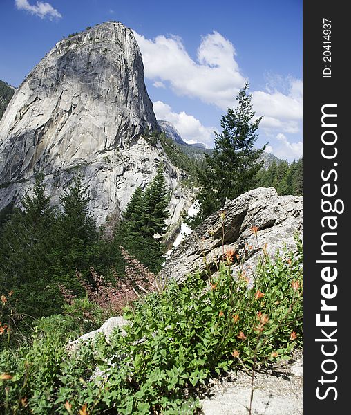 Nevada Falls in Yosemite with wild flowers in the foreground. Nevada Falls in Yosemite with wild flowers in the foreground