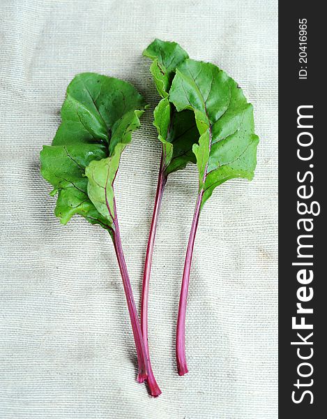 An image of fresh green beetroot leaves on sackcloth