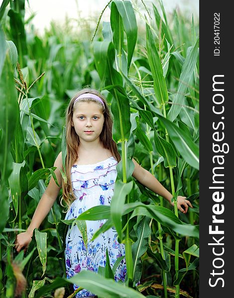 An image of a girl walking in the cornfield