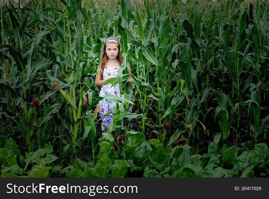 An image of a girl standing in the cornfield