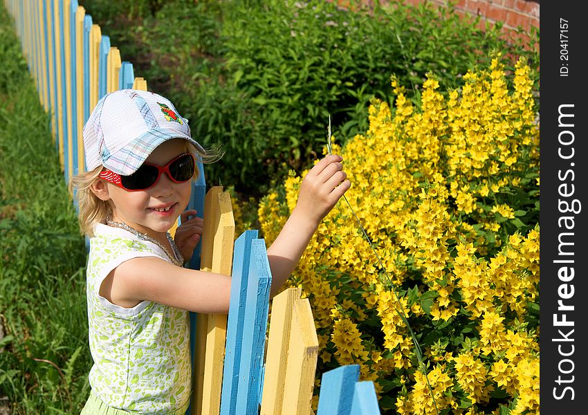 Smiling girl stands near a color fence and flowers. Smiling girl stands near a color fence and flowers
