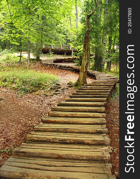 A stairway made of tree, forest road