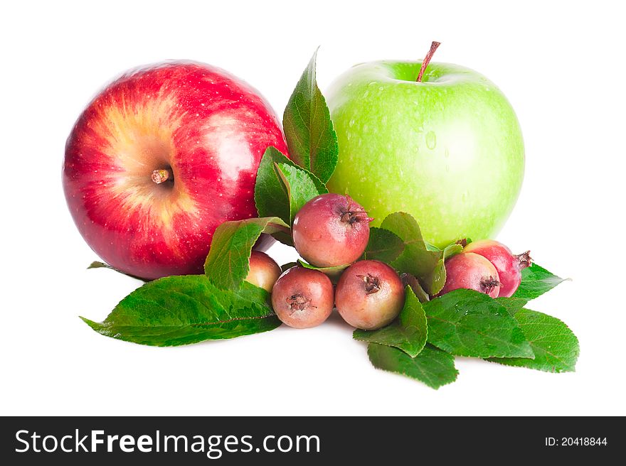 Green and red big apples fruit and branch of small wild apples with leaves on white background