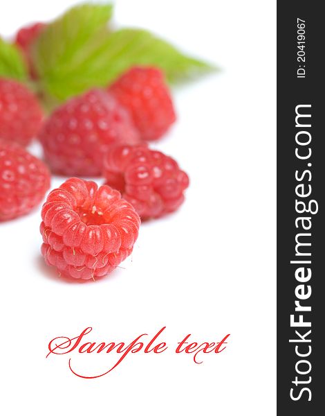 Ripe raspberries isolated on a white background