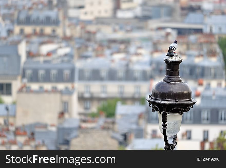Pigeon on the top of lamp post against the quarter Montmartre. Pigeon on the top of lamp post against the quarter Montmartre