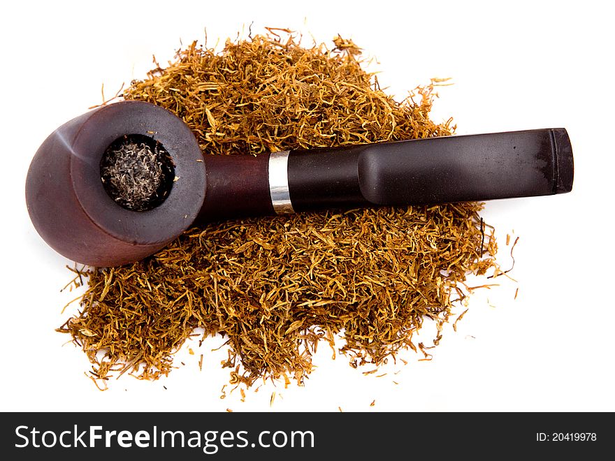 Bulldog lying on a pile of tobacco on a white background. Bulldog lying on a pile of tobacco on a white background