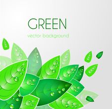 Abstract Natural Background Royalty Free Stock Photography Abstract Natural Background Royalty Free Stock Photography