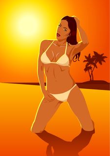 Free Bikini Girl Stock Photography - 20428362