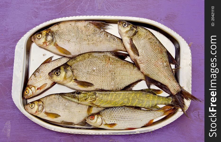 Fresh fishes in the metal tray after fishing. Fresh fishes in the metal tray after fishing