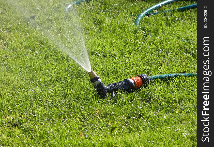 Water sprayer on grass spraying water