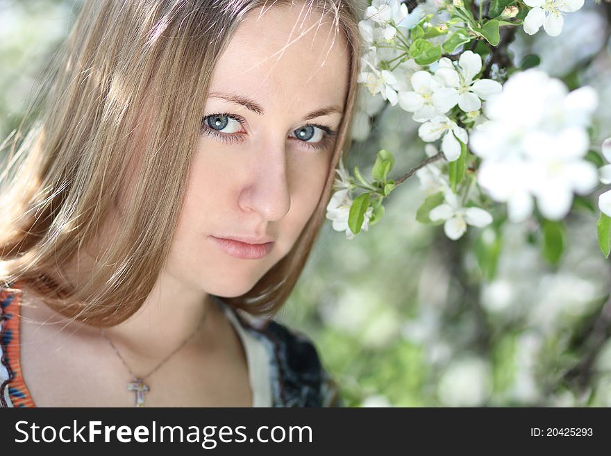 Portrait of beautiful blond in spring blossom. Portrait of beautiful blond in spring blossom
