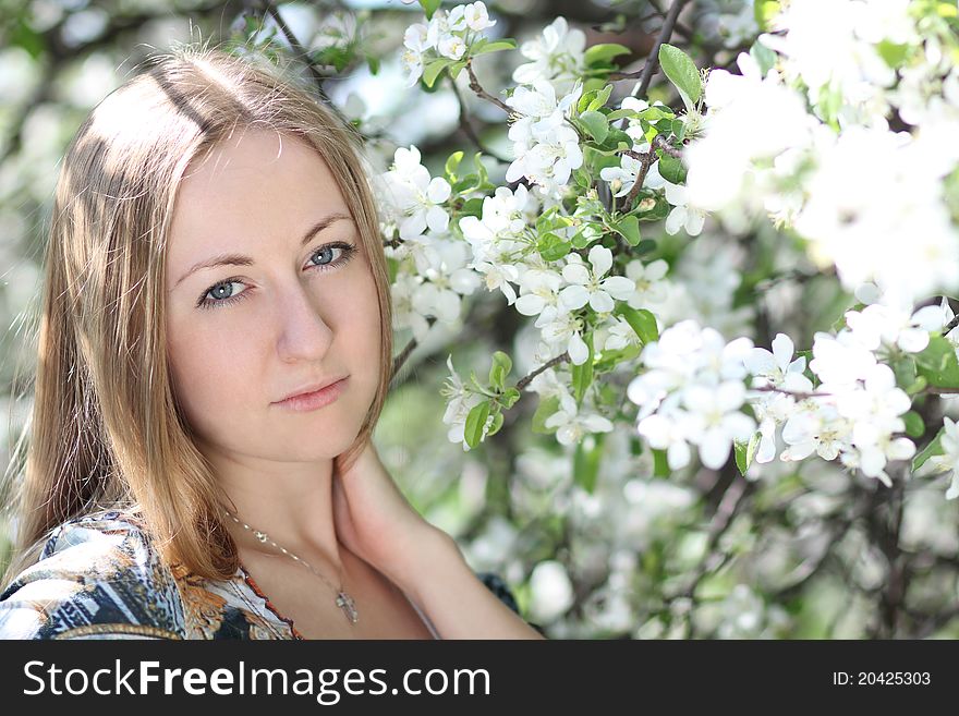 Portrait of beautiful blond in spring blossom. Portrait of beautiful blond in spring blossom
