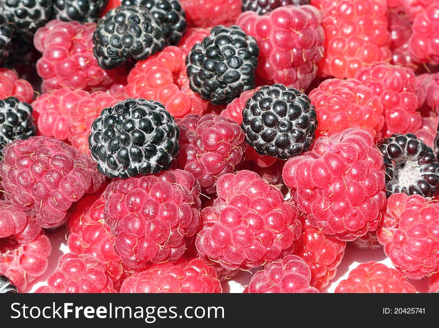 Fresh, juicy and healthy raspberries. Fresh, juicy and healthy raspberries