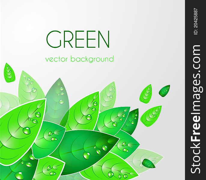 Abstract light background with green leafs. Abstract light background with green leafs