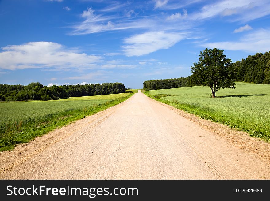 The rural road which is passing along an agricultural field