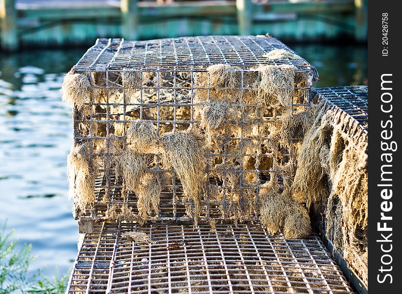 A well used fisherman's crab or lobster trap. A well used fisherman's crab or lobster trap