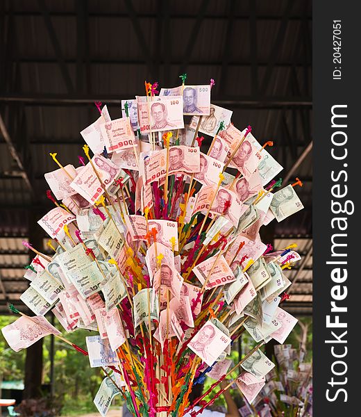 Money tree, donate to Thai temple