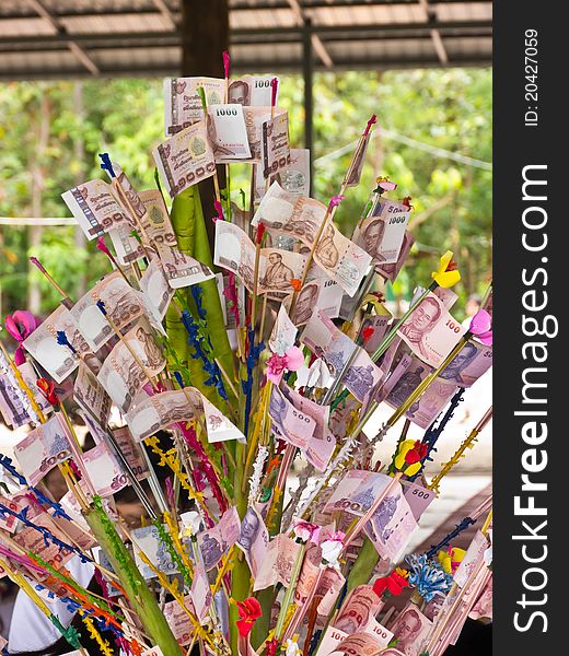 Money tree, donation to Thai temple in buddhist religion