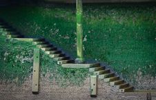 Old Stairs Covered With Green Vegetation Royalty Free Stock Image Old Stairs Covered With Green Vegetation Royalty Free Stock Image