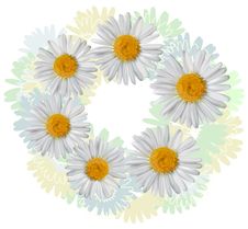 Card With Chamomile Flowers Stock Photo Card With Chamomile Flowers Stock Photo