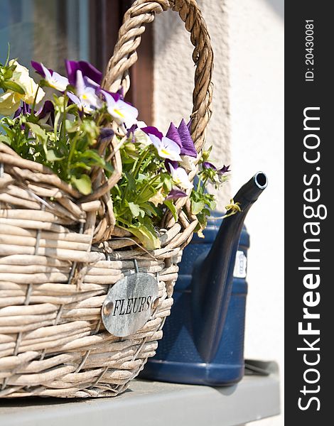 Watering can and flower basket. Watering can and flower basket