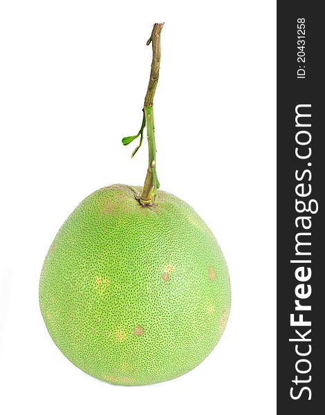 Green Grapefruits on white background
