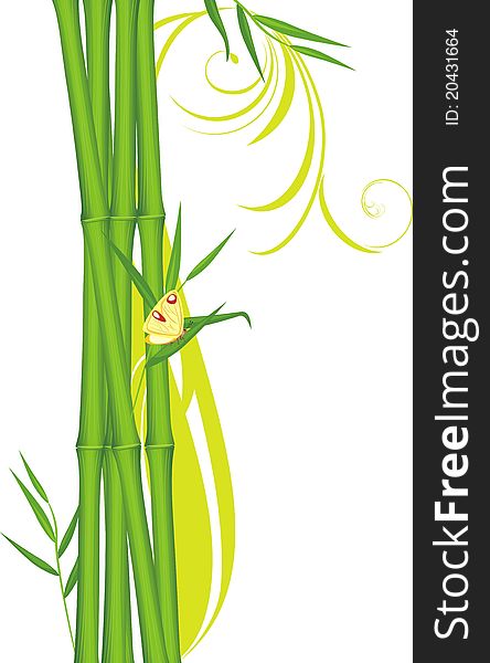 Green Bamboo With Butterfly