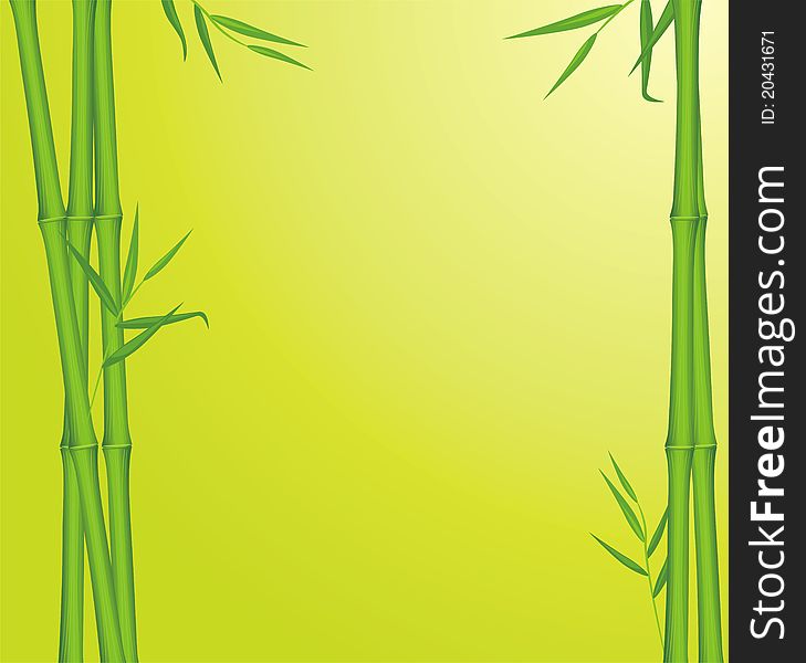 Green bamboo. Background for card. Illustration