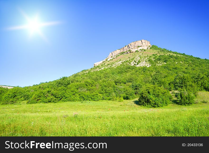 Green meadow on the sunset. Composition of nature.