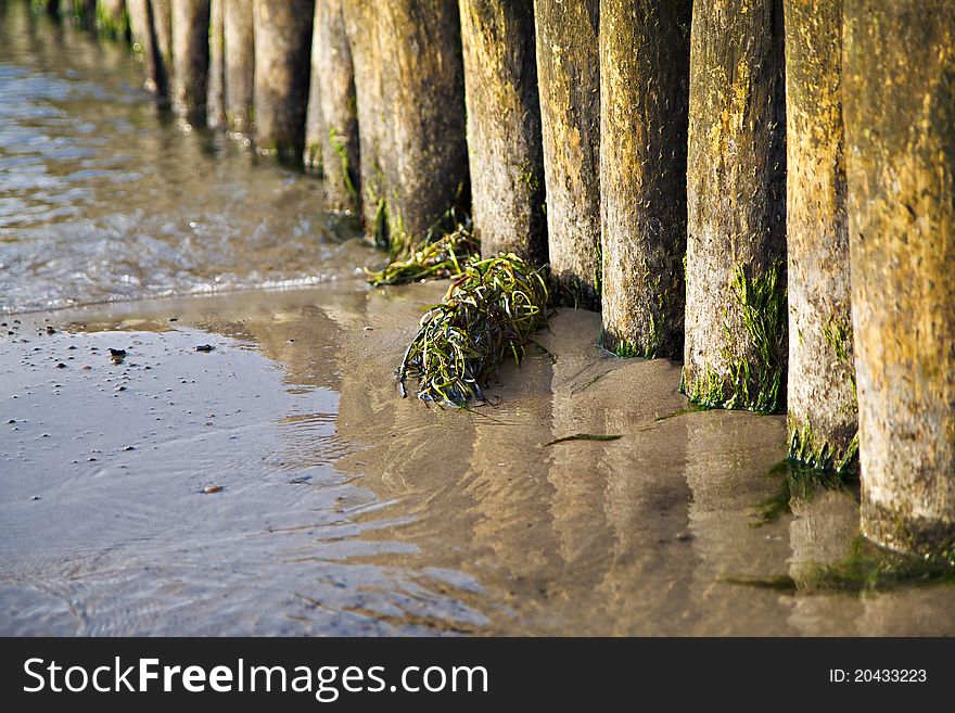 Groyne on shore of the Baltic Sea. Groyne on shore of the Baltic Sea.