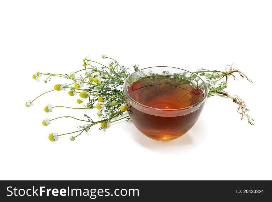 Medical tea with camomiles on a white background. Medical tea with camomiles on a white background