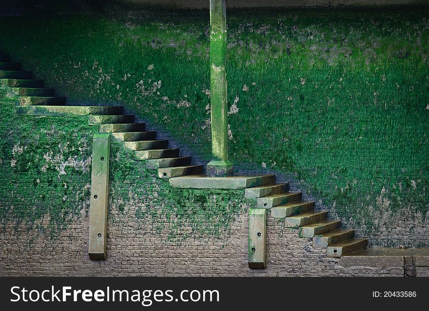 Stairs covered with algae or moss, old quay on Thames river. Stairs covered with algae or moss, old quay on Thames river.