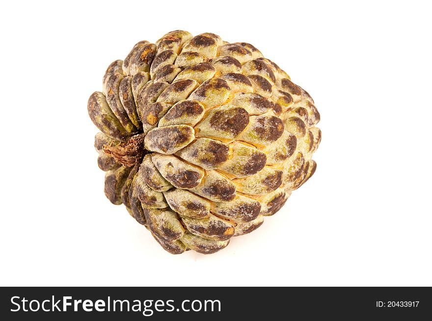 Tropical fruit called anon or custard apple isolated on white background