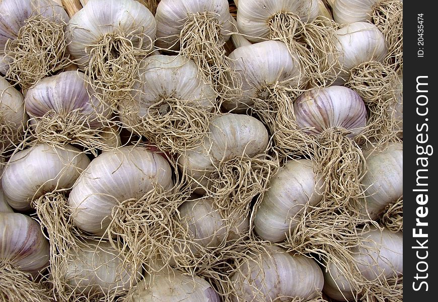 Amount of garlic bulbs lying one on another