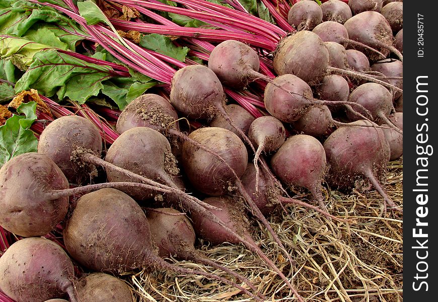 Amount of beetroots lying one on another. Amount of beetroots lying one on another