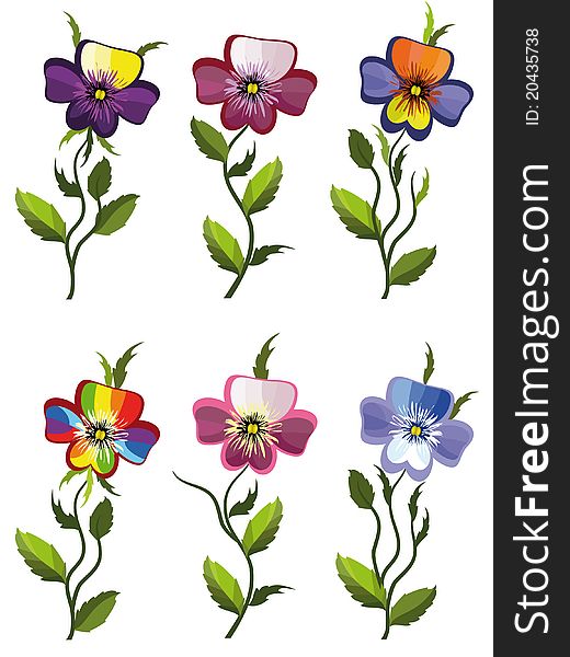 Cute set of the  pansies,cartoon,isolated. Cute set of the  pansies,cartoon,isolated.