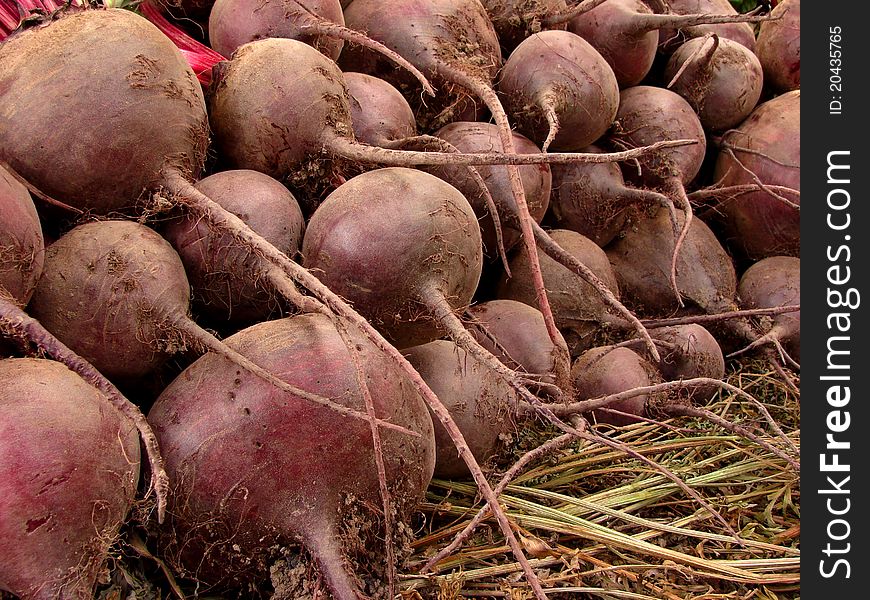 Amount of beetroots lying one on another. Amount of beetroots lying one on another