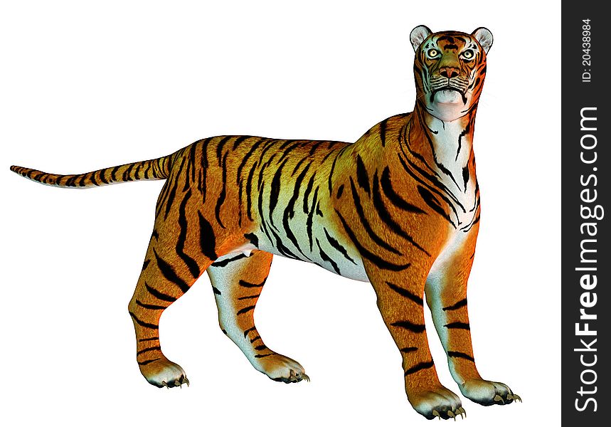 3D rendering of big cat tiger standing