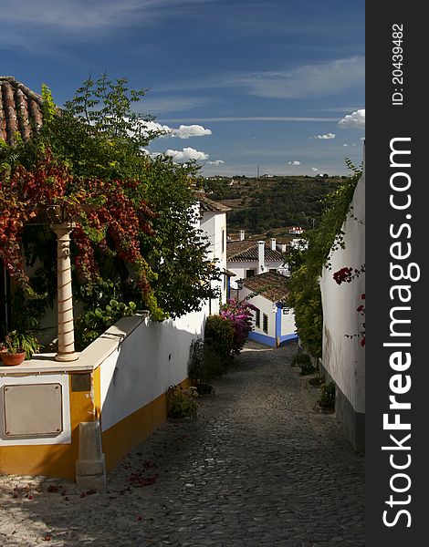 Blooming narrow historic streets of Obidos, Portugal. Blooming narrow historic streets of Obidos, Portugal