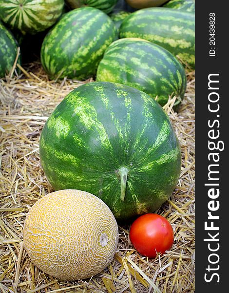 Watermelons, tomato and cantaloupe in hay. Watermelons, tomato and cantaloupe in hay