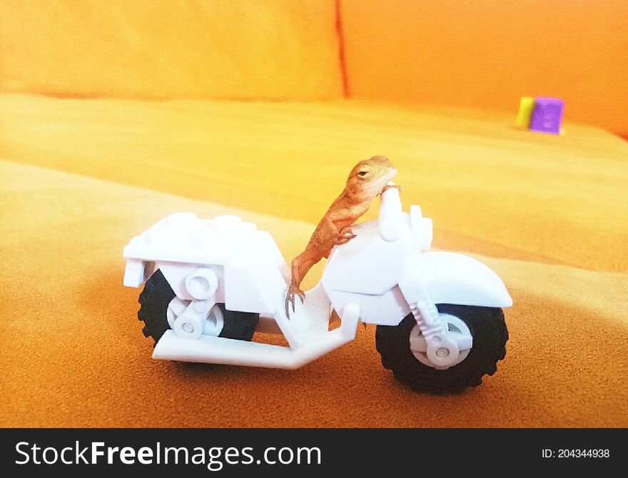 a little lizard wants to have fun by riding a lego motorbik. a little lizard wants to have fun by riding a lego motorbik