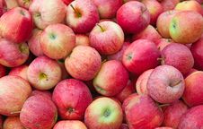 Red Apples Royalty Free Stock Photos Red Apples Royalty Free Stock Photos